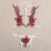 Sensual Lingerie for Woman Lace Transparent Underwear Fairy Embroidery Brief Sets Delicate Bra Thongs Kit Push Up Sex Suit