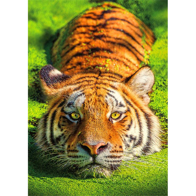 

5D Diy Алмазная картина Животные Лошадь Кошка Собака Слон Набор для вышивки крестом Полный круглый дрель Вышивка Мозаика Художественная картина Ремесла Full Round 30x40CM