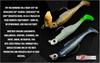 Zman Yumuşak Yem MinnowZ 3 İnç 6/Paket Sabah Sefası (0693)