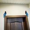 1 Pair Tropical Parrot Door Topper Wooden Blue Bird Door Frame Decoration Rustic Window Corner Wall Art for Home Bathroom Bedroom Office