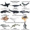 Children's Cognitive Toys: Frog Tadpole Growth Cycle Models