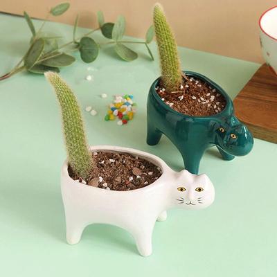 Pot de fleur en céramique en forme de chat mignon, Pots de jardin, Cactus, plantes succulentes, conteneur de plantes, décoration de la maison, ornements de table