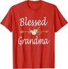 Blessed Grandma Cute Mothers Day Present Sweet T-Shirt