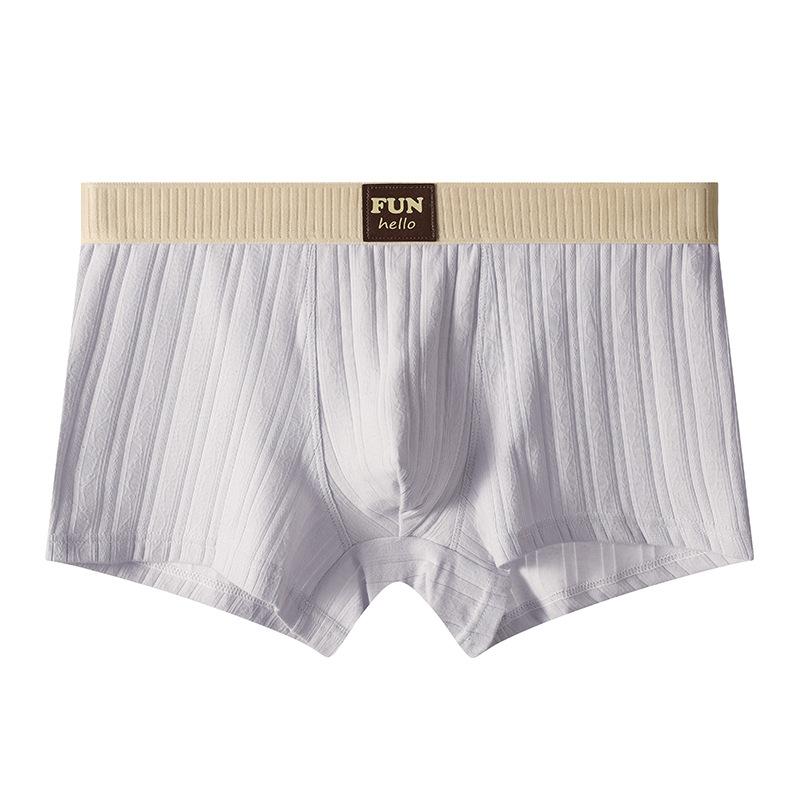 Men's Boxer Shorts Underwear Plus Size Underpants Breathable Sexy Slim Panties