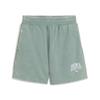 Puma Shorts Class Washed 5 Tr 68503530 R S