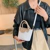 Fashion Casual Portable Small Bag Women's 2025 Summer New Casual Niche Simple Messenger Bag Simple Shoulder Bag