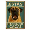 Happylaza Funny Metal Plaque "Are You Pooping?" Spanish Humor Bathroom Wall Decor Sign with Dog Design for Home, Cafe, Living Ro