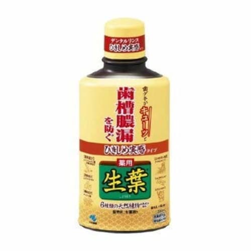 Shouyoueki (Sh?y?eki) Dental Rinse/Liquid Toothpaste for Preventing Periodontal Disease, Herbal Mint Flavor, 330ml (Pack of 4)