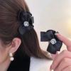 Accessoires pour Cheveux – Pinces à cheveux