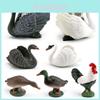 Animal Figurine With Realistic Plastic Ducks Rooster Swans For Educational Display And Collecting