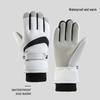 Ankelai Winter Waterproof Thermal Windproof Gloves