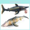 Modello di Dinosauro Marino Helicoprion Per Bambini Giocattolo Realistico in PVC Educativo