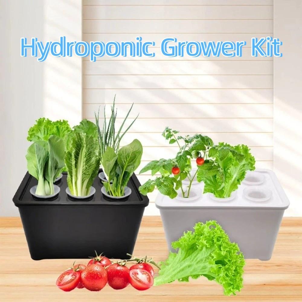 Self Watering Soil-Free Planting Box 6 Holes Nursery Pots Hydroponic Grower Kit  Outdoor Planting