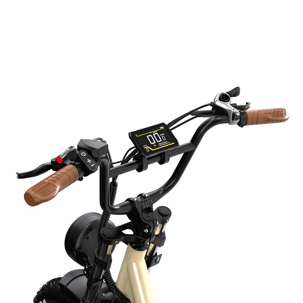 ONESPORT W77 Electric Bike - 48V 250W Motor, 90km Range, 20"x4.0" Tires, Hydraulic Brakes, Bluetooth Support for Urban Commute