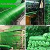 Sheng Jun Zhe Green Sun Shade & Dust Net