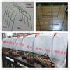 Plastic-Coated Steel Garden Support Pipe for Greenhouses and Vegetables