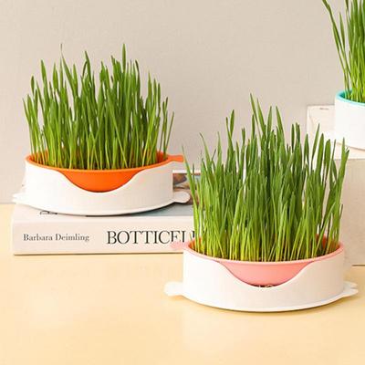 Kočičí trávník Cup Catnip Planter Hydroponická pěstební sada Bezpůdný rybí tvarovaný pěstební truhlík se síťovaným podnosem pro vnitřní a venkovní použití