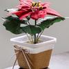 Paper Rope Braided Braided Flower Pot Waterproof Woven Basket Plant Pot  for Indoor Outdoor Plants
