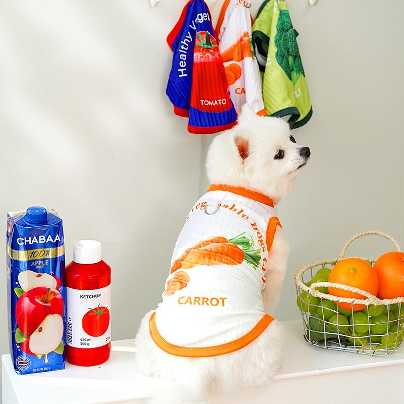 Spring and Summer New Dog Big Dog Bichon Frise Cat and Pet Clothing Cat and Dog Clothes
