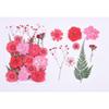 1 Set Blumenpflanzen Exemplar Prägematerial Rotes Trockenblumenpaket