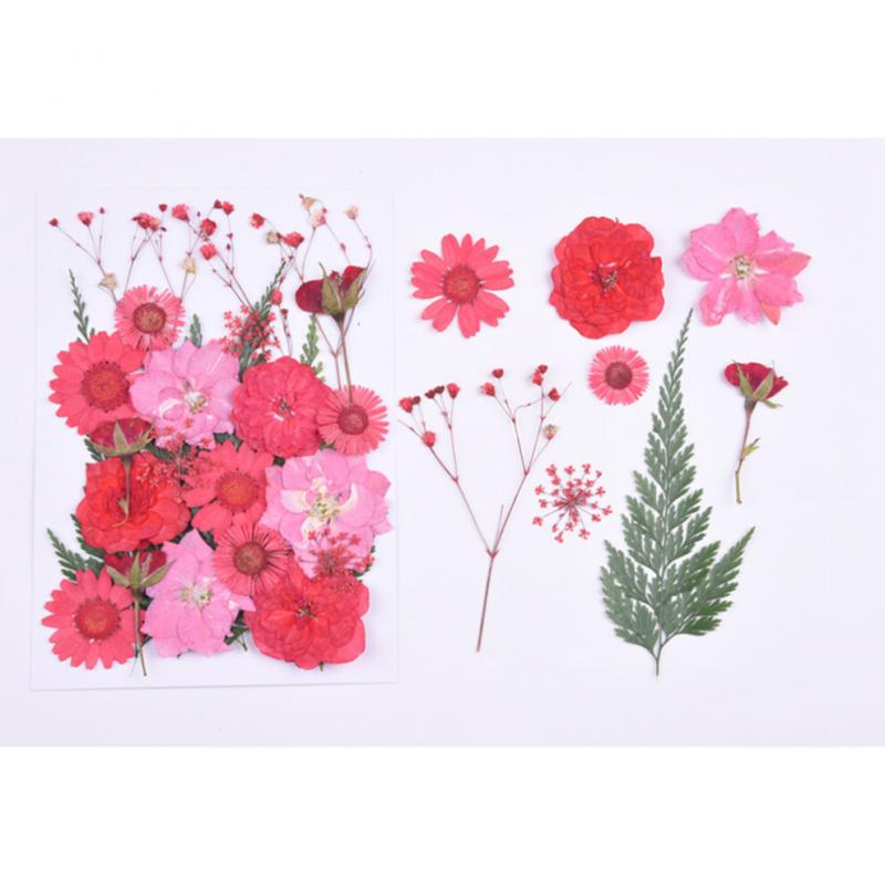 1 Set Blumenpflanzen Exemplar Prägematerial Rotes Trockenblumenpaket