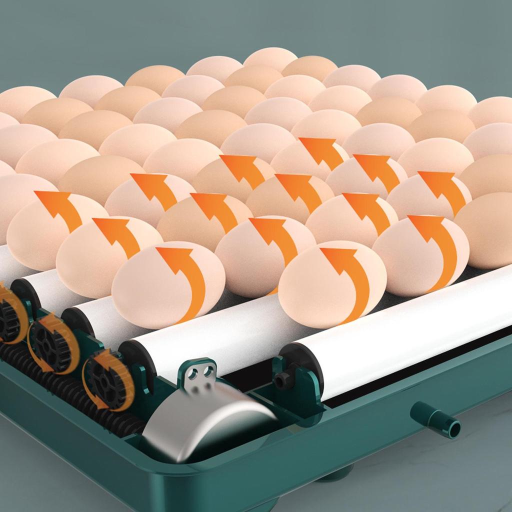 Egg Incubator Automatic Chick LED Display for Goose Chicken 6 Eggs