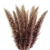 Síťová rákosová tráva svatební rekvizita sušená květina pro domácí farmu