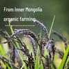 Wuaiaiwugu Organic Long-Grain Black Rice