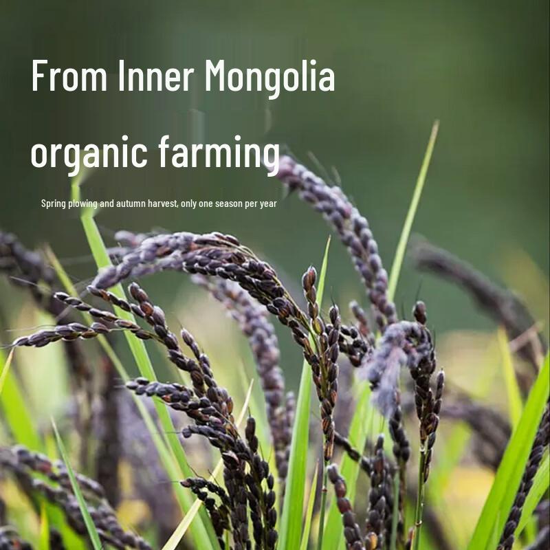 Wuaiaiwugu Organic Long-Grain Black Rice