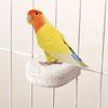 Parrot Bird Stand Claw Grinding Perch High Color Value Safe for Birds Ideal for Cage Decoration and Claw Maintenance