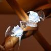 Luminous Halloween String Lights 20/50 Lights Bat Decor Party Decor Pumpkin Lights  Indoor Decor