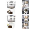 6L Rice Container Dustproof with Lid Kitchen Storage Organizer Measuring Cup Large Capacity