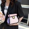 2026 Nuovo Anime Cartone Animato Bidimensionale Catena Borsa a Spalla in Tela da Donna Zaino da Ragazza Borsa Piccola Diagonale