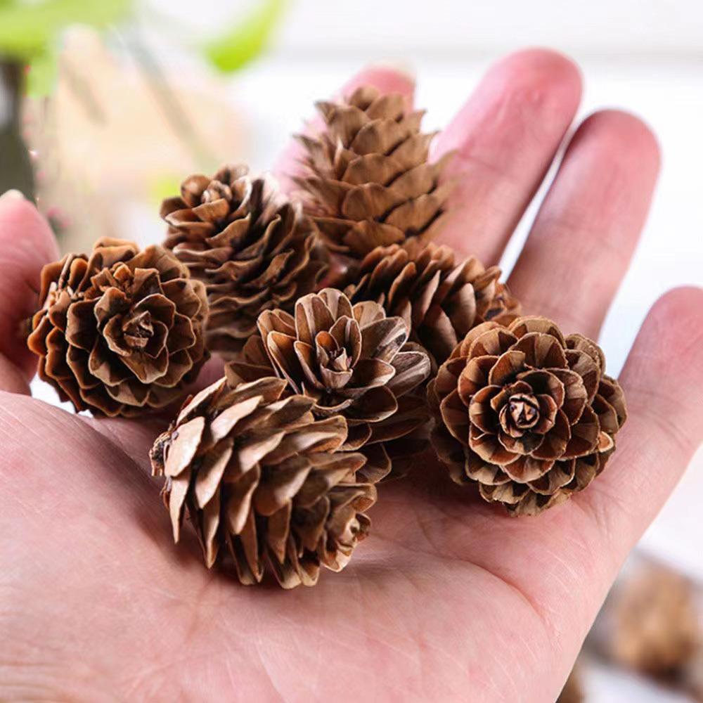 Christmas Pine Cones & Dried Flowers Pack - Eucalyptus, Pine Wood, Cotton, Handmade Photography Props