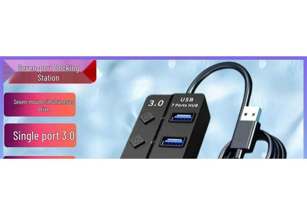 USB 3.0 Seven-Port Docking Station with Independent Switches
