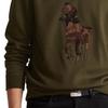 Polo Ralph Lauren Stor Hästlogotyp Flockad Vändbar Stickad Rundhalsad Sweatshirt Herr sweatshirt 710766862-019