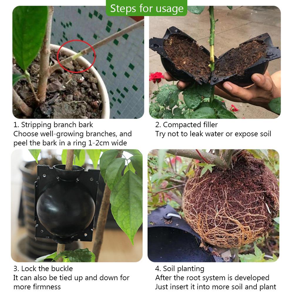 5 Pack Plant Rooting Growing Box Tool Grafting Ball Device 5/8cm In Diameter EB 5 Pack Plant Rooting Growing Box Tool Grafting Ball Device 5/8cm In Diameter EB