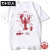 Whale Shark Anatomy Biology Tshirt Unisex Hip Hop Casual Soft Cotton Loose Oneck Tshirts Beach Diving White Tshirt Vintage Tees