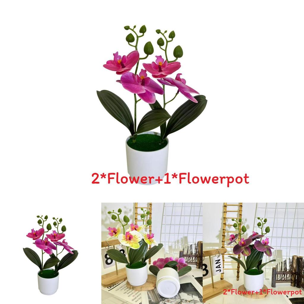 Butterfly Orchid 3d Faux Plant Decor With Plastic Material For Home And Event Use