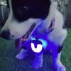 Rotating Dog Collar Light 4 Modes IPX8 Waterproof USB Rechargeable Dog Light