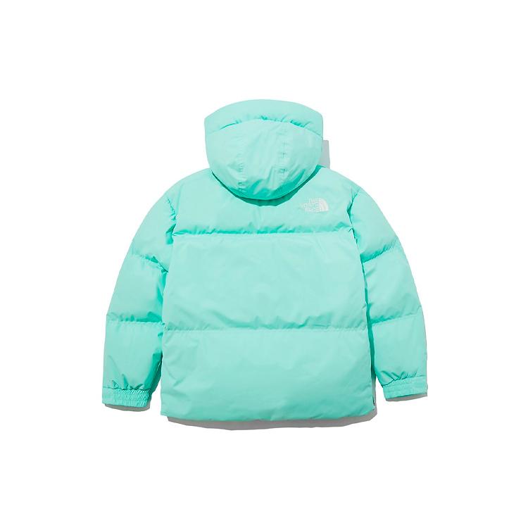 THE NORTH FACE 1996 Down Jackets Unisex Light Green Hooded Moderate Other NJ1DL80K