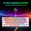 61 Keys Wired Gaming Keyboard RGB Backlit USB Keyboard for Laptop Desktop Computer Gaming Keyboard USB Wired Keypad