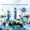 Yunnan Baiyao Mint Gum Care Toothpaste