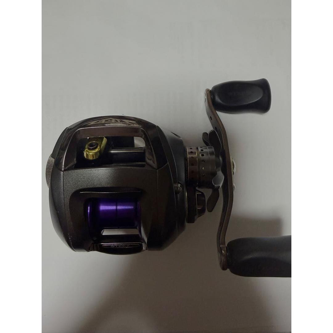 Used DAIWA STEEZ 100H bait reel