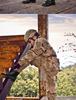 High-Top Tactical Military Combat Boots for Outdoor Hiking and Off-Road Sports
