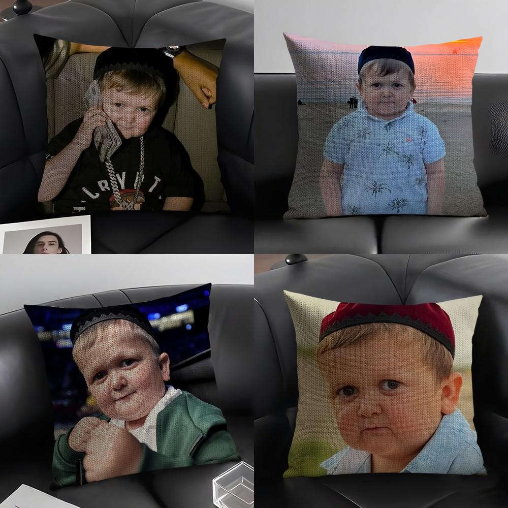 Internet Meme Characters HHasbulla Pillow Case Pattern Printed Pillowcase for Living Room Sofa Cushion Cover Bedroom Decor