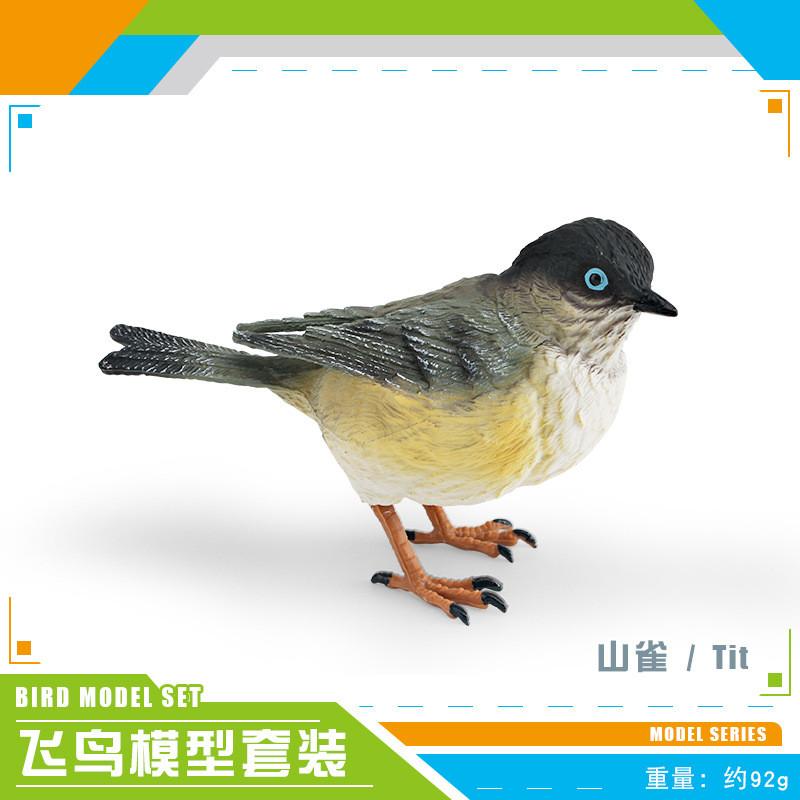 Realistic Decorative Animal Model Set Featuring Colorful Duck Sparrow Finch And Tit For Home And Office Display