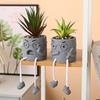 Succulent Cartoon Characters: Cute Creative Desktop Ornaments