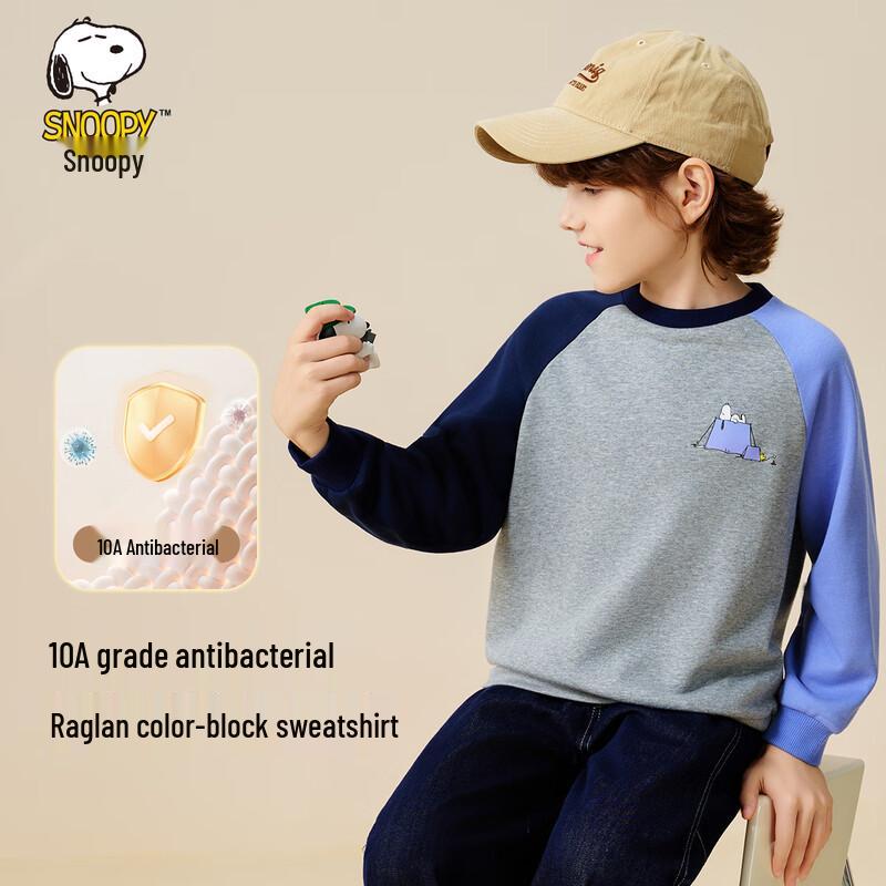 Snoopy Boys' Casual Crew Neck Sweatshirt