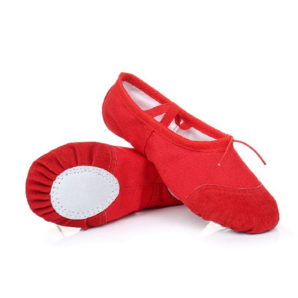 Buy Professional Hard Sole Ballet Dance Shoes Ballet Shoes for Kids Adult at affordable prices